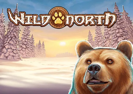 Wild North
