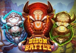 Bison Battle