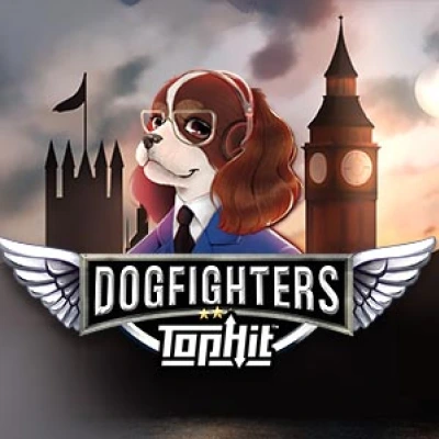 Dogfighters – Their Finest Hour TopHit™