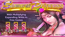 Samurai Princess