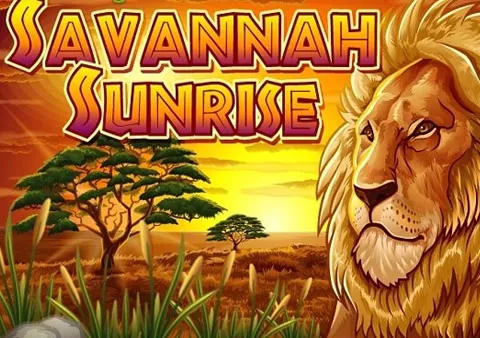 Savannah Sunrise