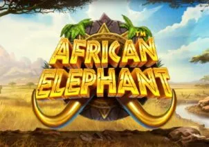 African Elephant