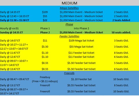 PokerStars satellite Main Event. Level MEDIUM.