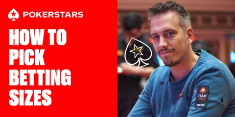Lex Veldhuis - How to pick betting sizes.
