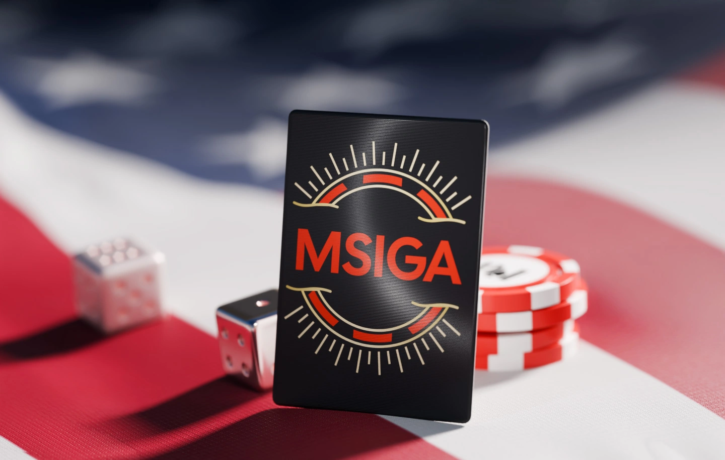 MSIGA in the USA