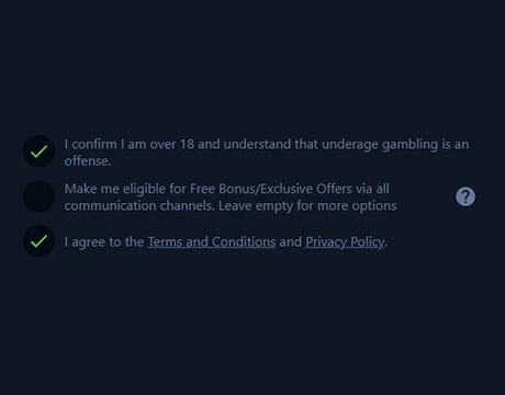Age verification and agreement to terms and conditions