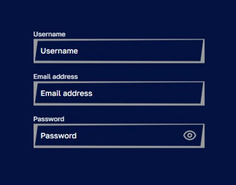 Step 2: Fill in Your Details
