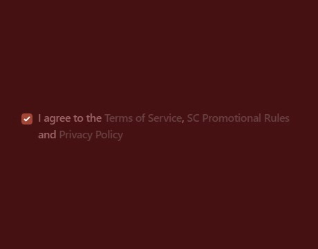 Confirm Your Details and Accept the Terms: