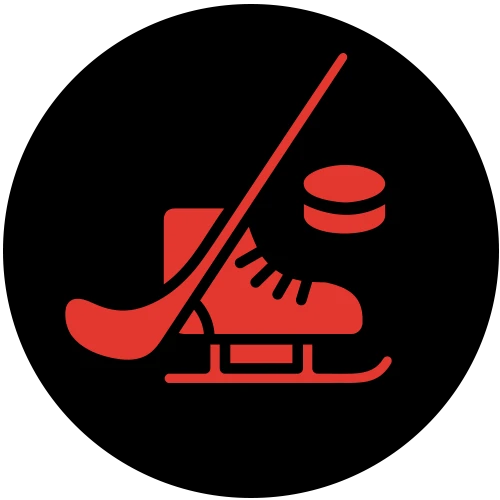 Stick, Skates and Puck