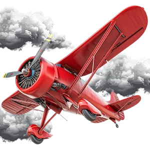 Fly