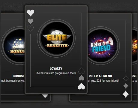 Elite Benefits (WPDVIP):