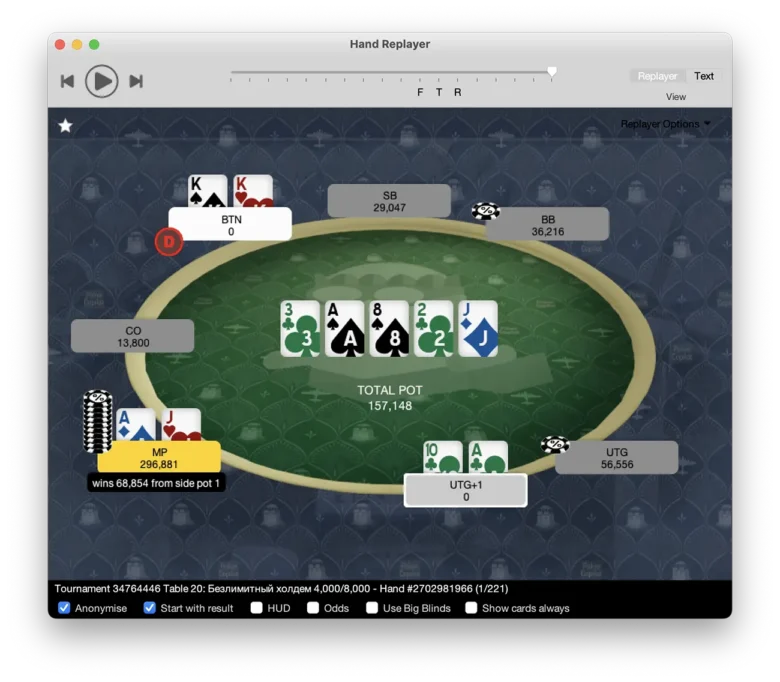 Copilot 8 Hand Replayer 1