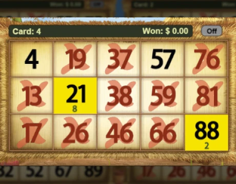 Check wins and payouts