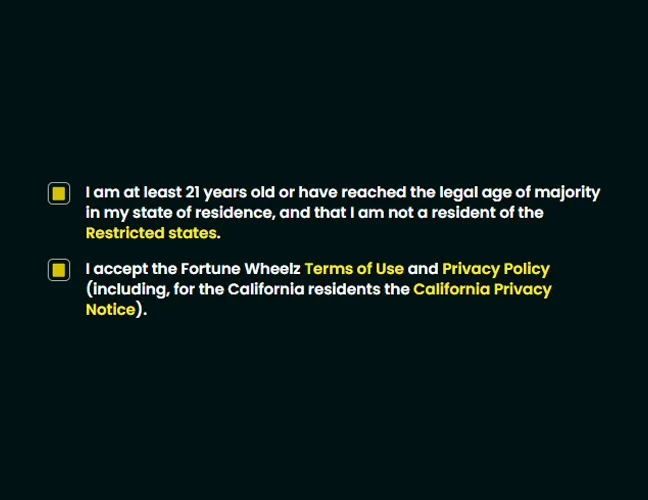 Confirm age and terms