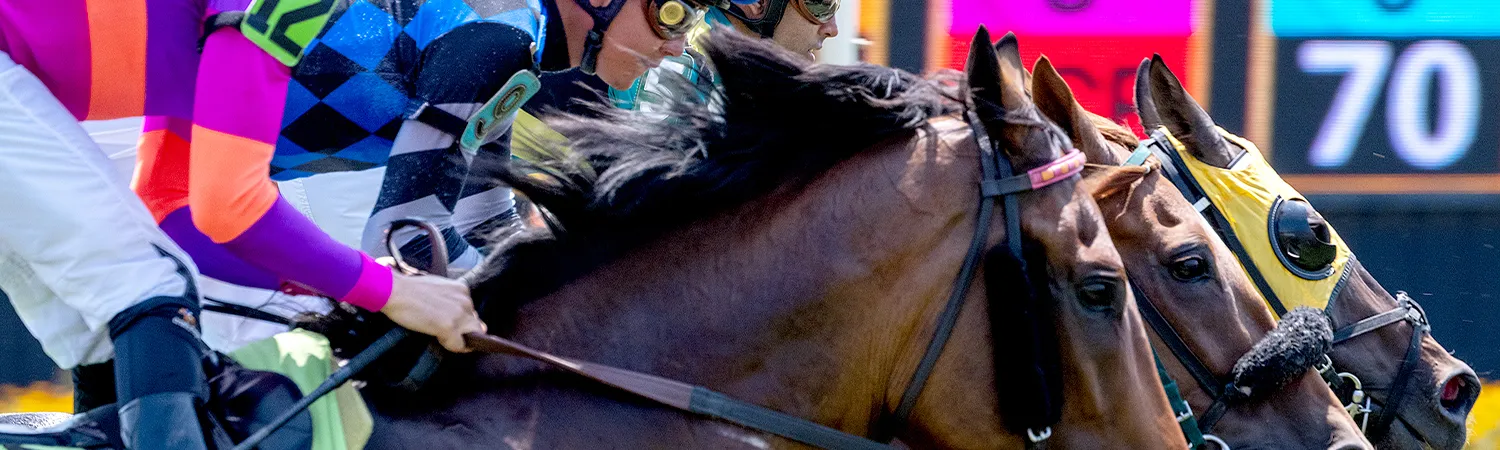 Types of Horse Racing