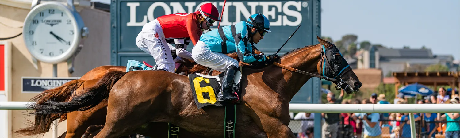 Horse Racing Betting