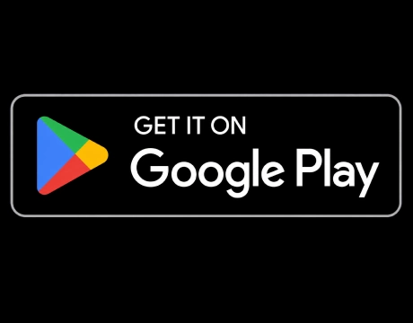 Locate the Download Option: