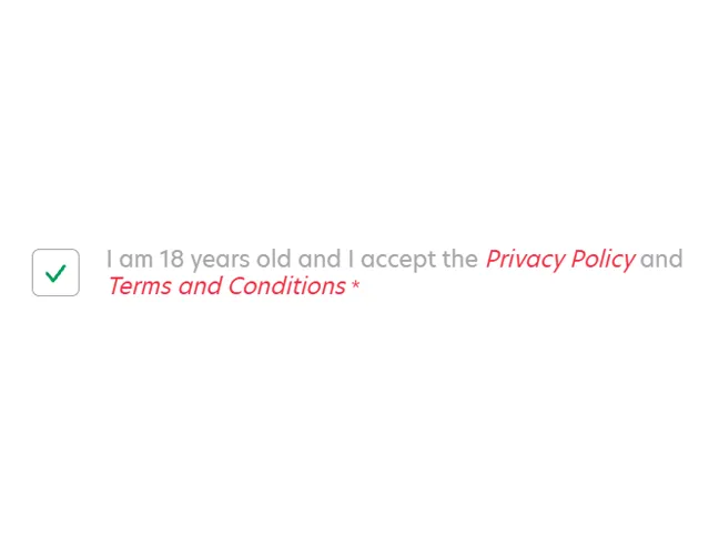 Confirm your age and accept the casino rules