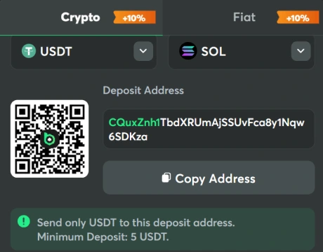 Enter your wallet address carefully