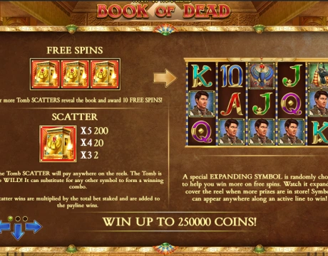 Check the Symbols, Paytable, and Bonus Features