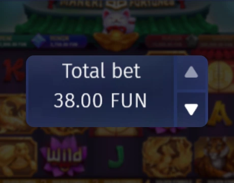 Set your bet