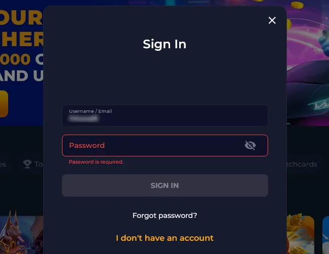 Enter your username or email in the first field.