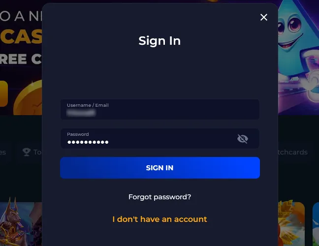 Enter your password in the second field.