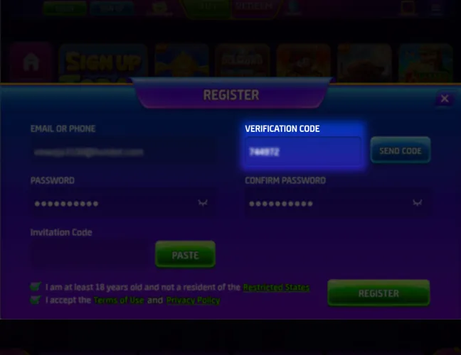 Enter the verification code.