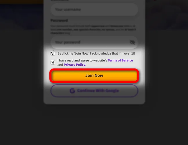 Accept the terms and create your profile.