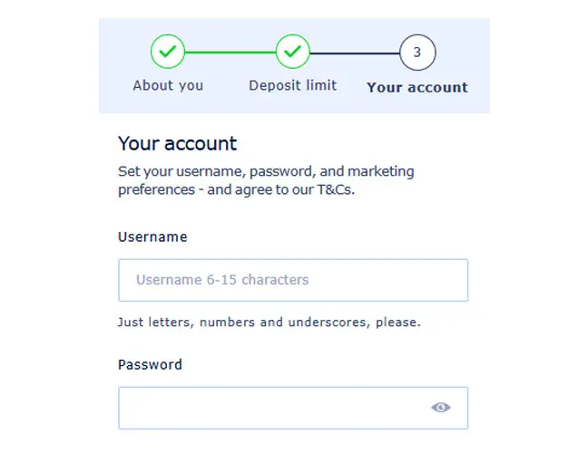 Fill in the login details