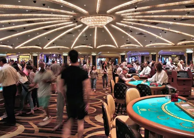 Casino: Cards, Chips and Dealers