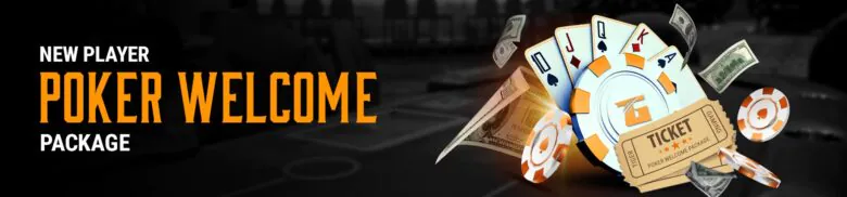 Tiger Gaming Winter Knockout Series 2023