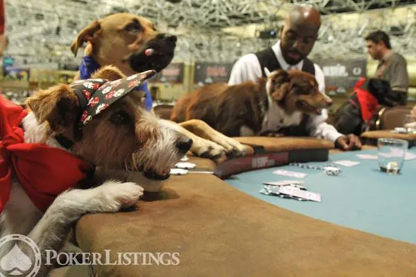 The 24 Most Insane Promotions in the History of Poker