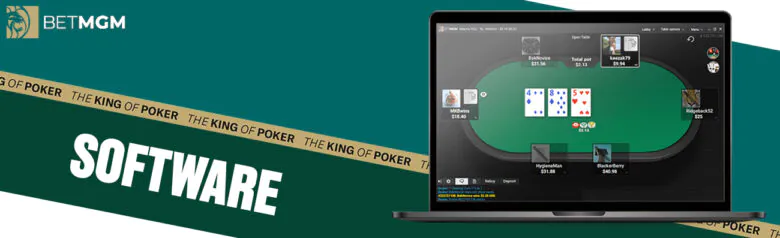 BetMGM provides user-friendly software