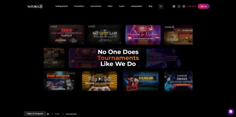 Natural8 Poker tournaments